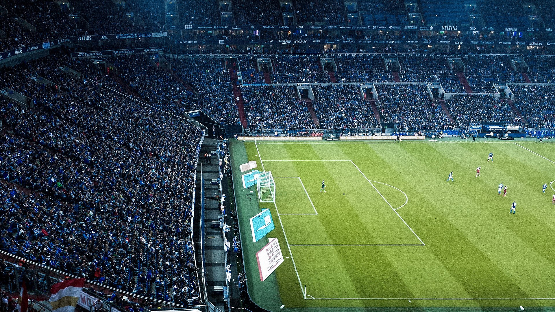 布莱顿技术总监被邀请参加公开讲座,布莱顿 老板